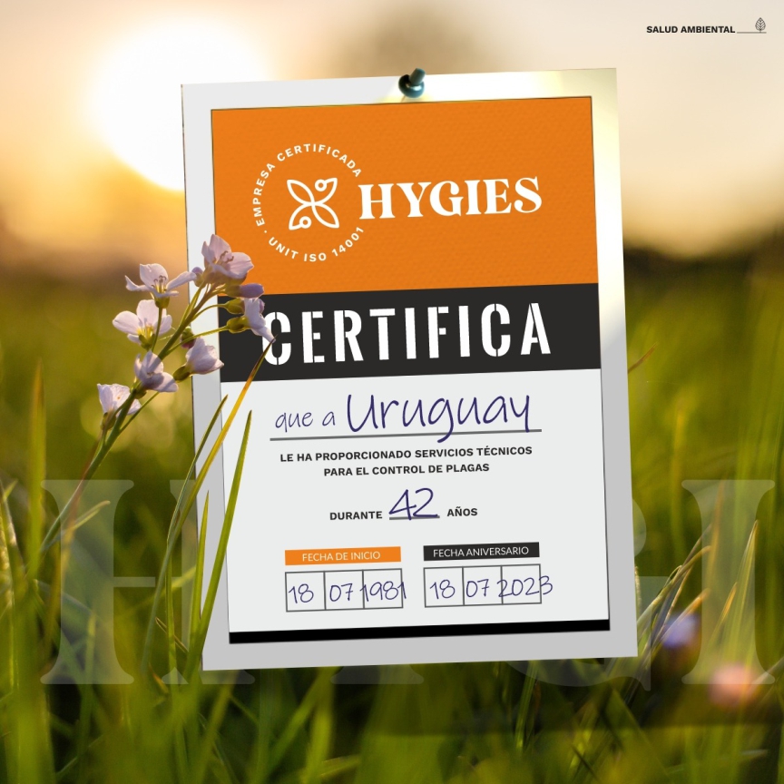 Certificado
